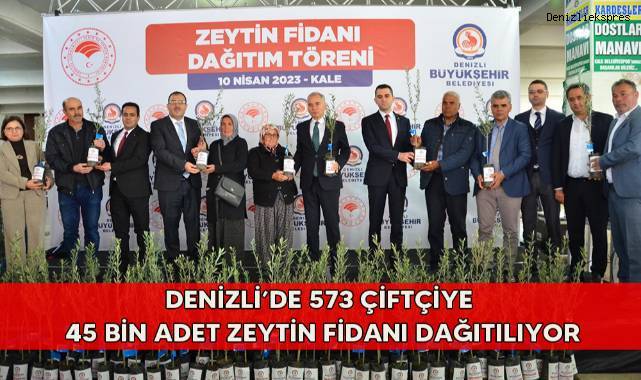 Denizli’de 573 çiftçiye 45 bin adet zeytin fidanı dağıtılıyor