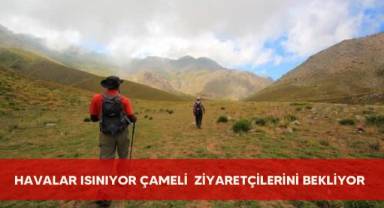 Havalar Isınıyor Çameli Ziyaretçilerini Bekliyor
