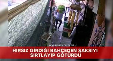 Hırsız girdiği bahçeden saksıyı sırtlayıp götürdü
