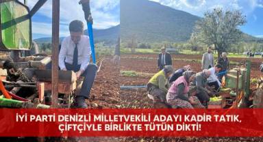 İYİ Parti Denizli milletvekili adayı Kadir Tatık, çiftçiyle birlikte tütün dikti!