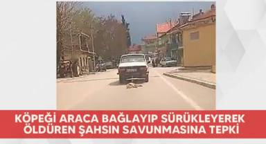 Köpeği araca bağlayıp sürükleyerek öldüren şahsın savunmasına tepki