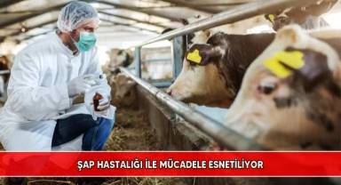 Şap hastalığı ile mücadele esnetiliyor