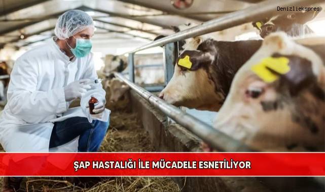 Şap hastalığı ile mücadele esnetiliyor