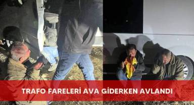Trafo fareleri ava giderken avlandı