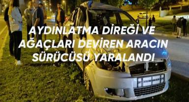 Aydınlatma direği ve ağaçları deviren aracın sürücüsü yaralandı