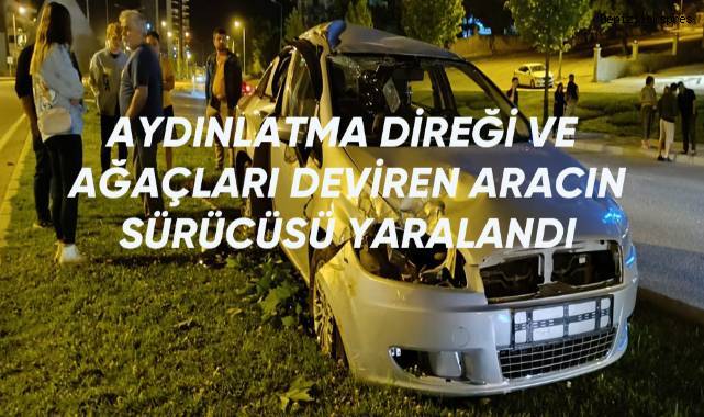 Aydınlatma direği ve ağaçları deviren aracın sürücüsü yaralandı