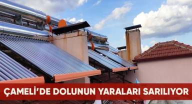 Çameli'nde dolunun neden olduğu yaralar sarılıyor