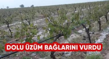 Dolu üzüm bağlarını vurdu