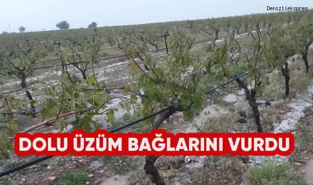 Dolu üzüm bağlarını vurdu