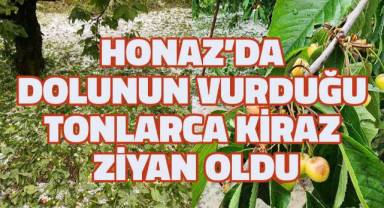 Dolu zararı kiraz üreticisinin belini büktü