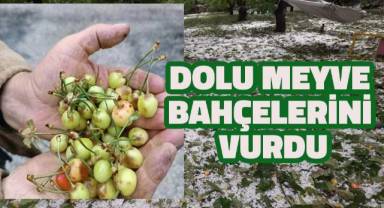 Kiraz ihracatının önemli merkezi Honaz'da yüzde 50'ye yakın zarar oluştu