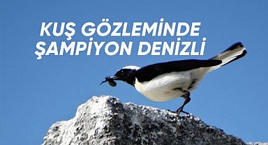 Kuş Gözleminde Şampiyon Denizli