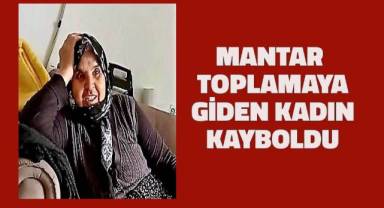 Mantar toplamaya giden kadın kayboldu