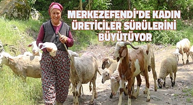 Merkezefendi'de kadın üreticiler sürülerini büyütüyor
