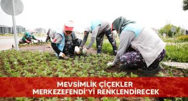 Mevsimlik çiçekler Merkezefendi’yi renklendirecek