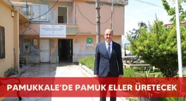 Pamukkale'de Pamuk Eller Üretecek