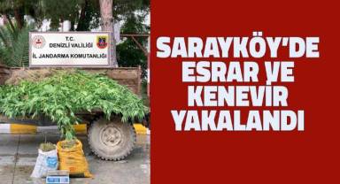 Sarayköy'de 13 kilo esrar, 1380 kök kenevir yakalandı
