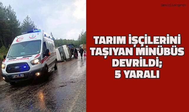 Tarım işçilerini taşıyan minibüs devrildi: 5 yaralı