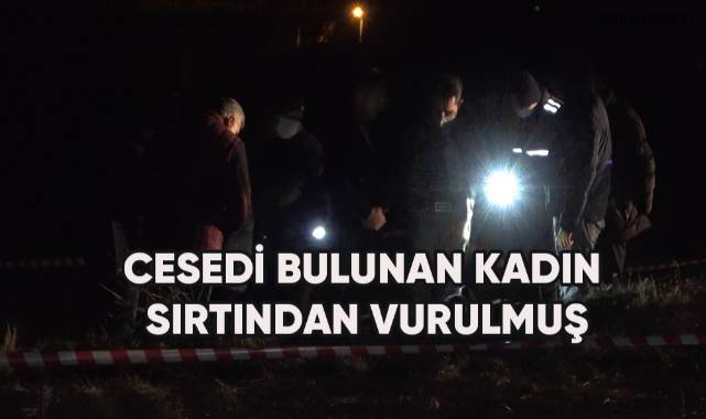 Üzüm bağında cesedi bulunan kadın sırtından av tüfeğiyle vurulmuş
