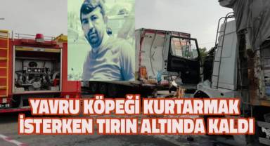 Yola çıkan yavru köpeği kurtarmak isterken canından oldu