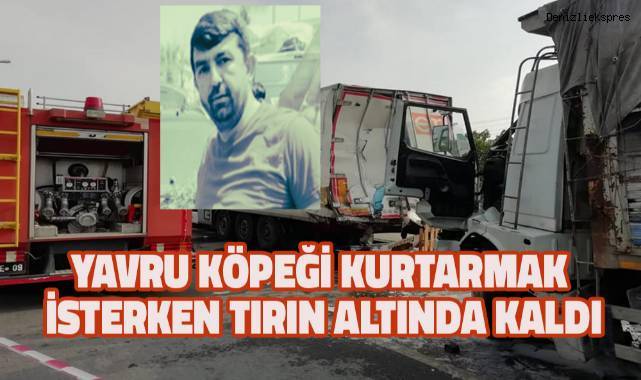 Yola çıkan yavru köpeği kurtarmak isterken canından oldu