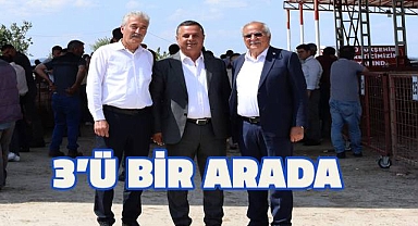 3'ünün kimliğinde doğum yeri 'Çal' yazıyor, 3 farklı ilçeyi yönetiyorlar.
