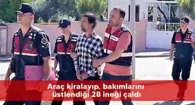 Araç kiralayıp, bakımlarını üstlendiği 28 ineği çaldı