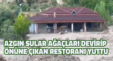 Azgın sular ağaçları devirip önüne çıkan restoranı yuttu