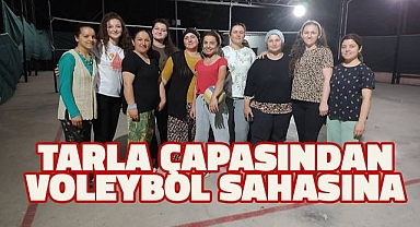 Çallı kadınlar; gündüzleri tarla çapasında, akşamlar voleybol sahasında