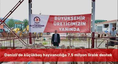 Denizli'de küçükbaş hayvancılığa 7,5 milyon liralık destek