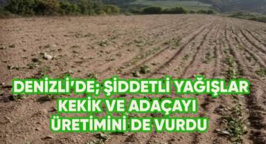 Denizli'de şiddetli yağışlar kekik ve adaçayı üretimini de vurdu