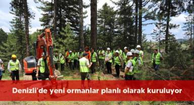 Denizli'de yeni ormanlar planlı olarak kuruluyor
