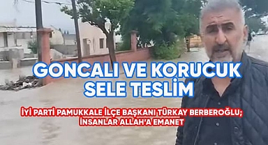 Denizli'nin Korucuk ve Goncalı mahalleleri de sele teslim oldu