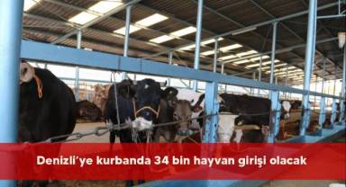 Denizli’ye kurbanda 34 bin hayvan girişi olacak