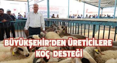 Küçükbaş sürülerinde verim ve kalite artıyor