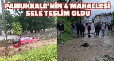 Pamukkale'nin 4 Mahallesinde meydana gelen sel nedeniyle hayvanlar telef oldu