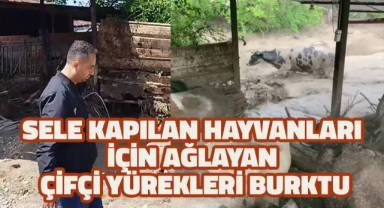 Sele kapılan hayvanlarının ardından ağlayan çiftçinin haykırışları yürekleri sızlattı.