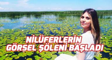 Türkiye'nin en büyük nilüfer tarlasında sezon açıldı