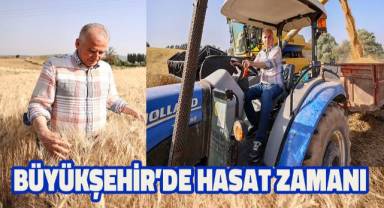 Başkan Zolan bu kez biçerdöverle buğday hasadı yaptı