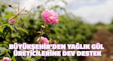 Büyükşehir'den yağlık gül üreticilerine dev destek