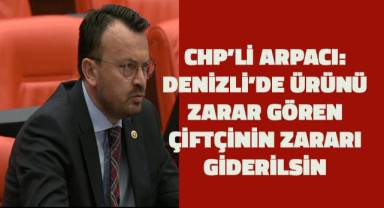 CHP’li Arpacı, Denizlili bağcıların ve kiraz üreticilerinin sorunlarını meclis gündemine taşıdı