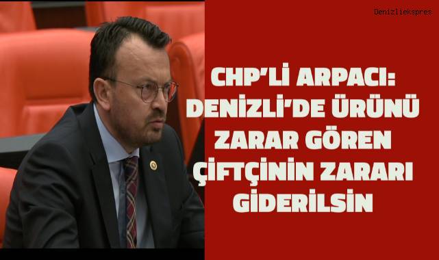 CHP’li Arpacı, Denizlili bağcıların ve kiraz üreticilerinin sorunlarını meclis gündemine taşıdı