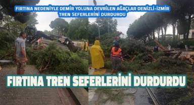 Demiryoluna ağaç devrildi Denizli-İzmir seferleri durdu