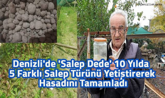 Denizli'nin salep dedesi 75 yaşındaki Süleyman Yüksel, bu yılın salep hasadını bitirdi