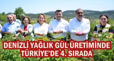 Denizli yağlık gül üretiminde Türkiye’de 4. Sırada