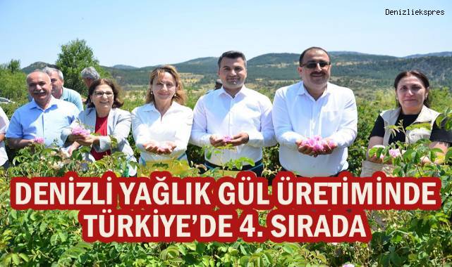Denizli yağlık gül üretiminde Türkiye’de 4. Sırada