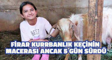 Kaçan kurbanlık keçi, 5 gün sonra boş bir evde bulundu