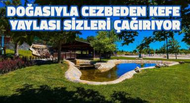 Kefe Yaylası'nda kamp sezonu açıldı