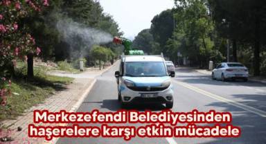Merkezefendi Belediyesinden haşerelere karşı etkin mücadele