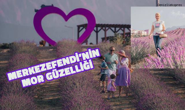 MERKEZEFENDİ’NİN MOR GÜZELLİĞİ, LAVANTA BAHÇESİ
